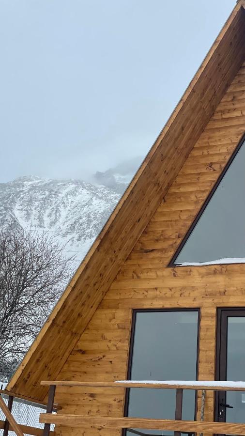 Aura Cottages カズベギ エクステリア 写真