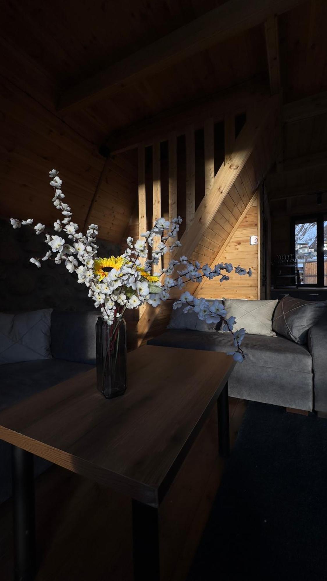 Aura Cottages カズベギ エクステリア 写真